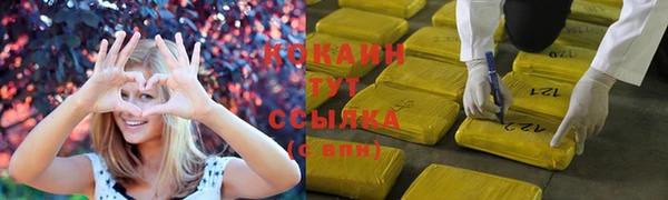 индика Верхнеуральск
