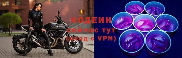 прущие крисы Вяземский