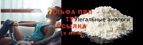 прущие крисы Вяземский