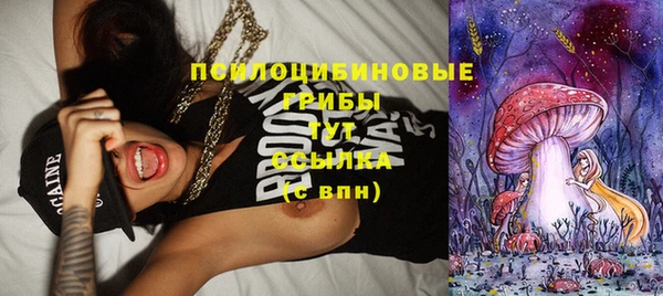 прущие крисы Вяземский