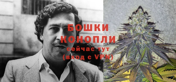 твердый Горнозаводск