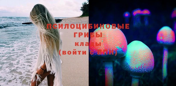 амф Вязники