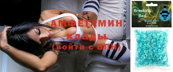 прущие крисы Вяземский