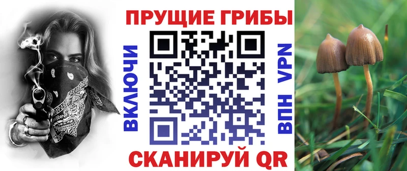 Галлюциногенные грибы мицелий  Зеленокумск 
